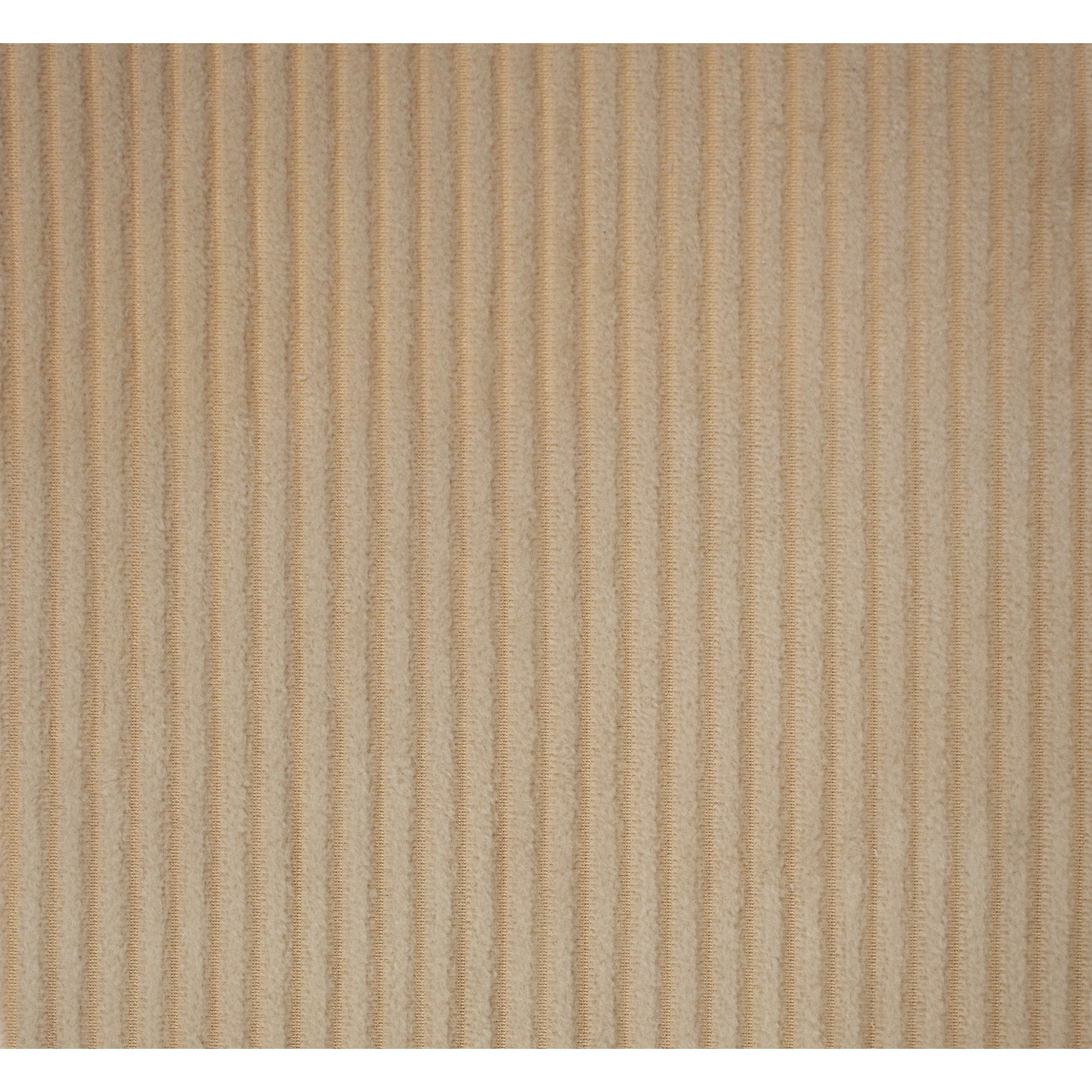 TRAPUNTA INVERNALE VELLUTO LETTO MATRIMONIALE "LE CANNETè" BEIGE CHIARO PRODOTTO ITALIANO 350 GR/MQ