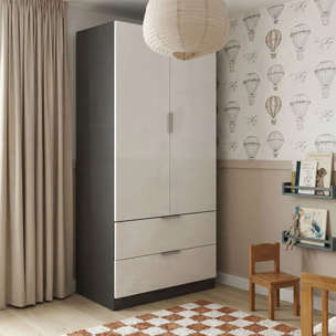 Armario de 2 puertas y 2 cajones en gris grafito y blanco artik 81,5x180 cm Lark Gris Grafito - Blanco Artik (Blanco Mate)