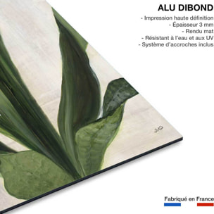 Tableau Sanseveria aquarelle Tableau alu Dibond