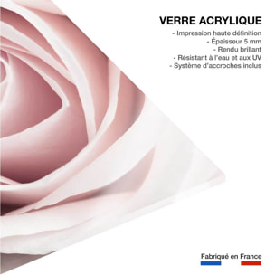 Tableau coeur de roses Tableau plexiglas