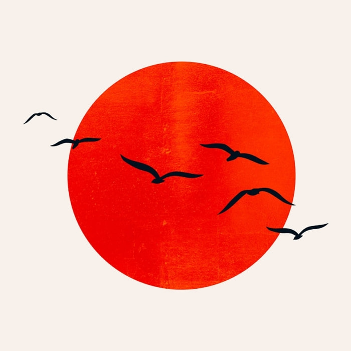 Tableau soleil levant Tableau plexiglas