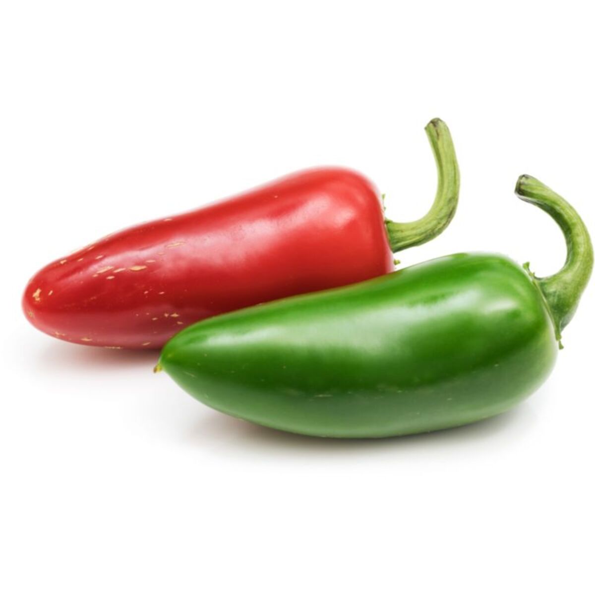 Recharge jardin d'intérieur VERITABLE piment Jalapeno