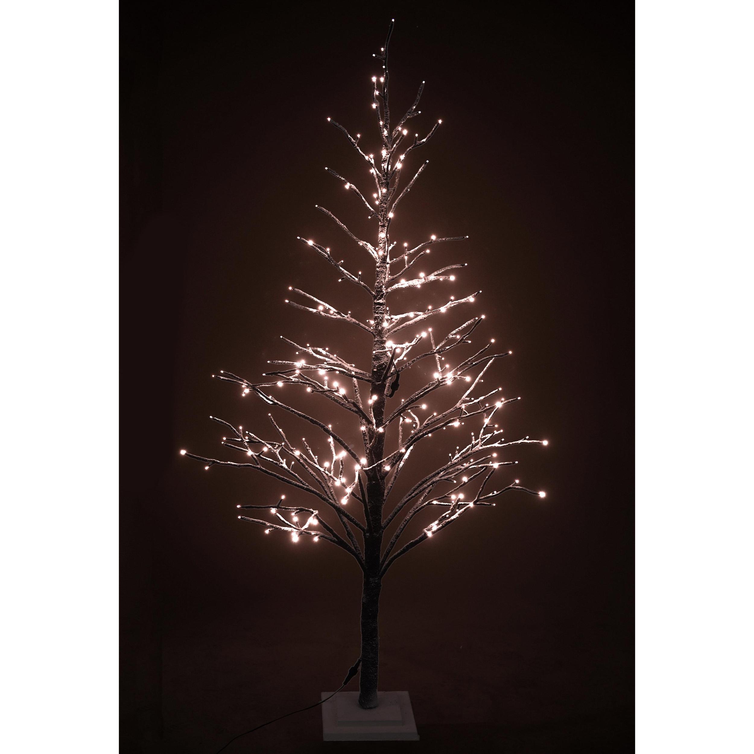 Faggio 120 Cm Con 114 Led Mov Int. - Pezzi 1 - 40X120X40cm - Colore: Marrone - Bianchi Dino - Articoli Natalizi