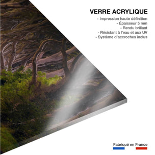 Tableau nature arbres enchanteurs Tableau plexiglas