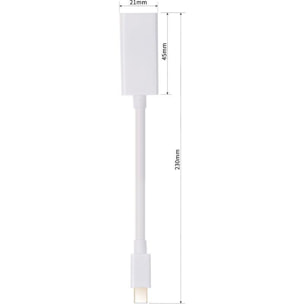 Adaptateur mini DisplayPort ESSENTIELB Mini-DisplayPort - HDMI