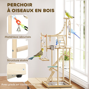 Aire de jeu pour oiseaux perchoirs mangeoires échelles chaîne balançoire cloches plateau