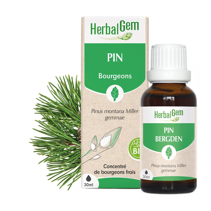 Herbalgem- Bourgeon de pin - Bio - 30 ml