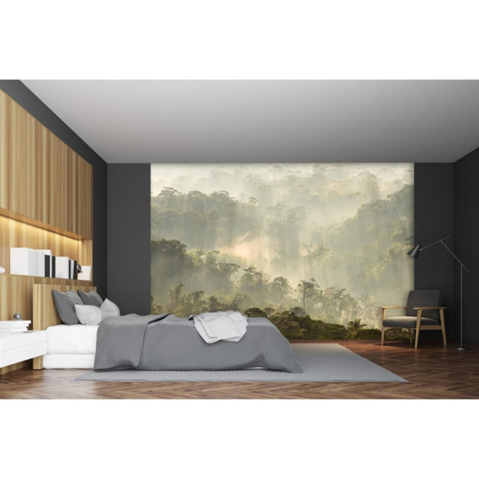 Papier peint panoramique Misty Forest - Un décor mural de 8 lés (384x270cm), créé et fabriqué en France