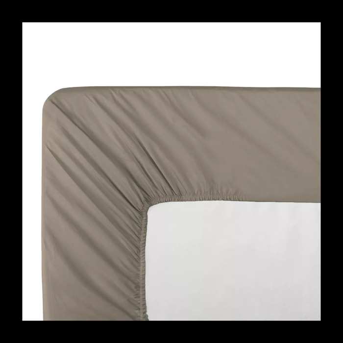 Drap housse b30 percale de coton uni brun Olana pin
