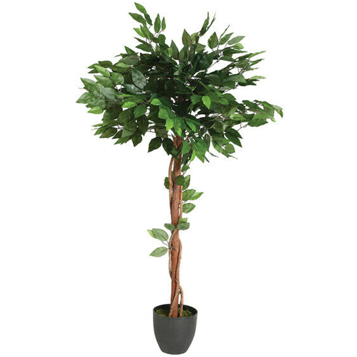 Ficus artificial en maceta Altura 120- Atmosphera