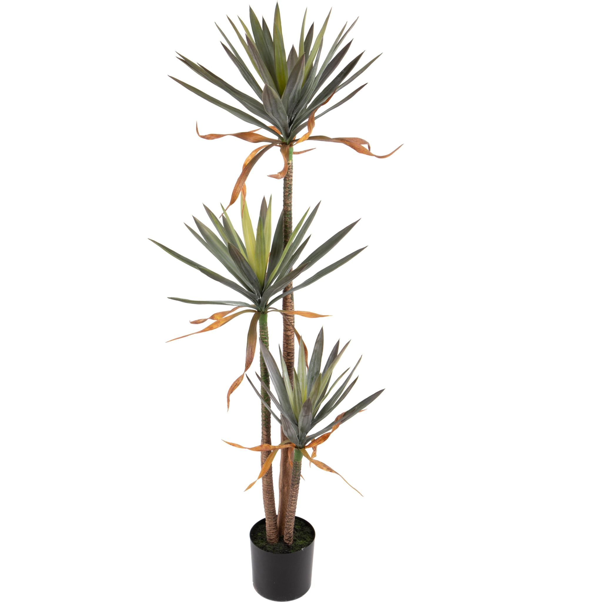 Pianta Di Yucca In Vaso Con 3 Diramazioni. Altezza 170 Cm - Pezzi 1 - 60X167X60cm - Colore: Altro - Bianchi Dino - Piante Artificiali