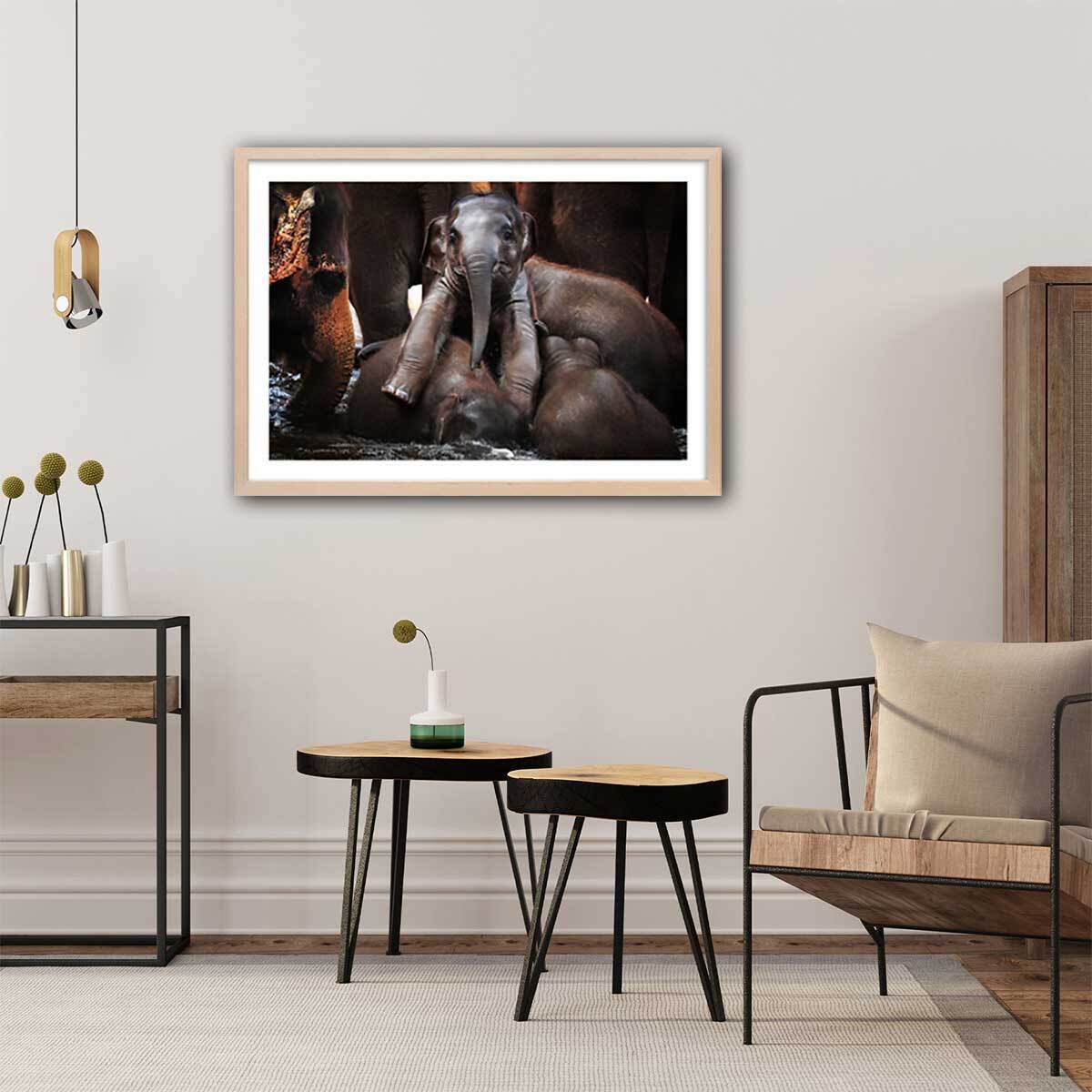 Affiche éléphant petit prince... Affiche + cadre en bois - Chêne