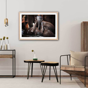 Affiche éléphant petit prince... Affiche + cadre en bois - Chêne