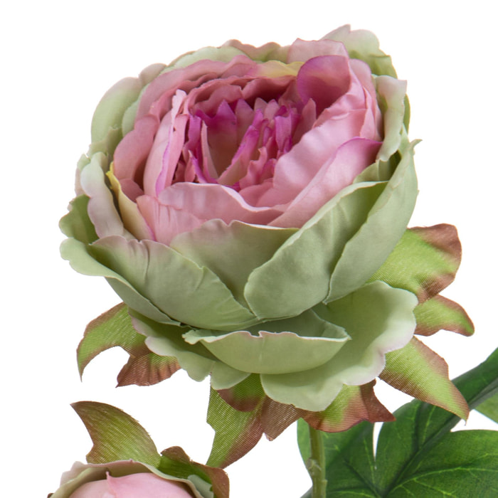 Peonia Per 2 Fiori 60 Cm - Pezzi 6 - 17,8X60X27,9cm - Colore: Rosa - Bianchi Dino - Fiori Artificiali