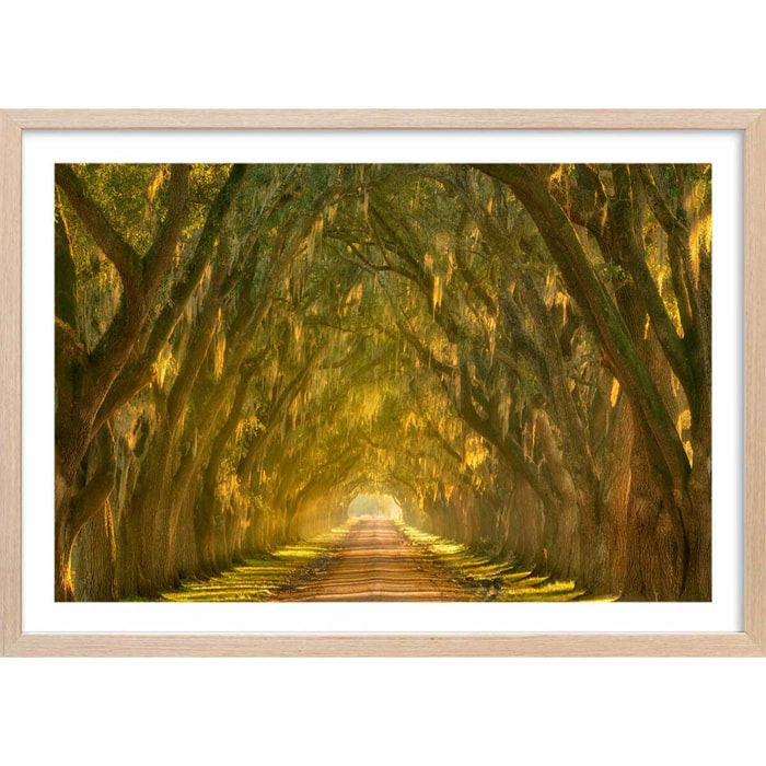 Affiche ""Allee enchanteresse"" Affiche + cadre en bois - Chêne