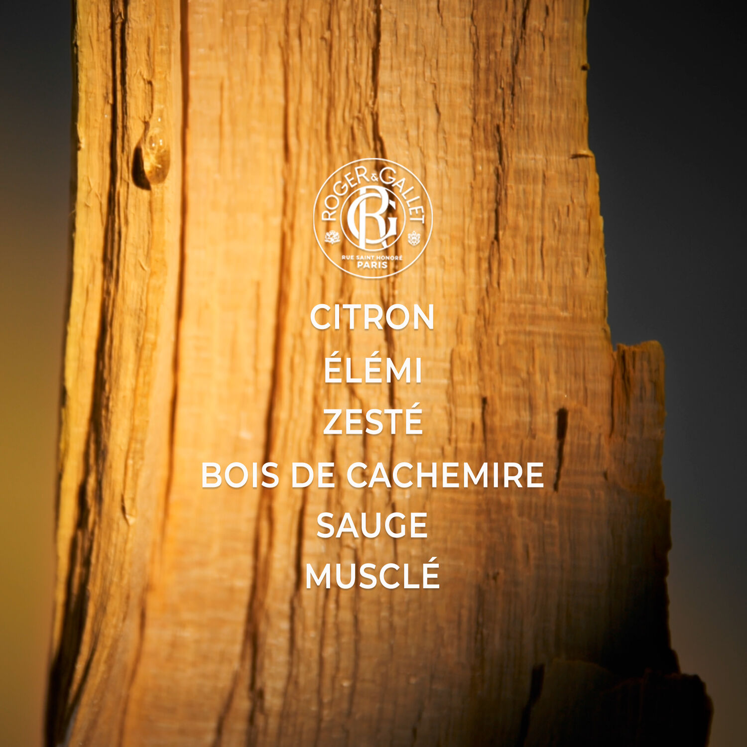 Cologne Twist - Eau de Cologne
