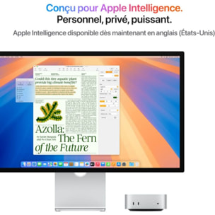 Ordinateur Apple MAC MINI Puce M4 Pro CPU 12 / GPU 16 coeurs Mémoire RAM 24Go Stockage 512Go SSD Argent