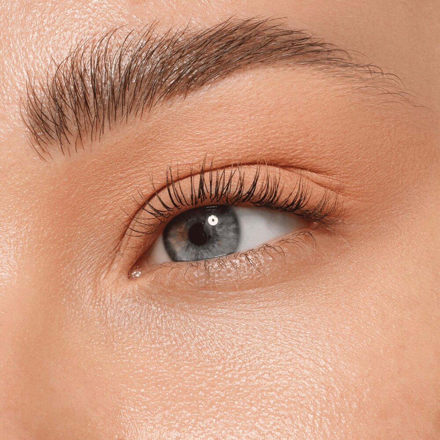 Art Couleurs  - Fard à Paupières Hautement pigmenté