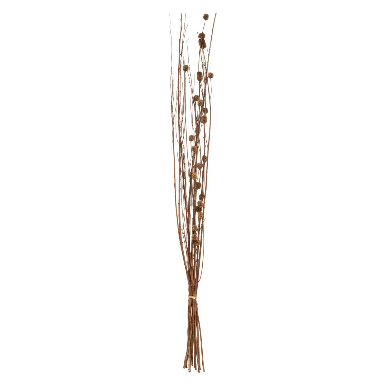 Fleurs séchées naturelles H100cm
