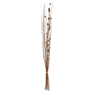 Fleurs séchées naturelles H100cm