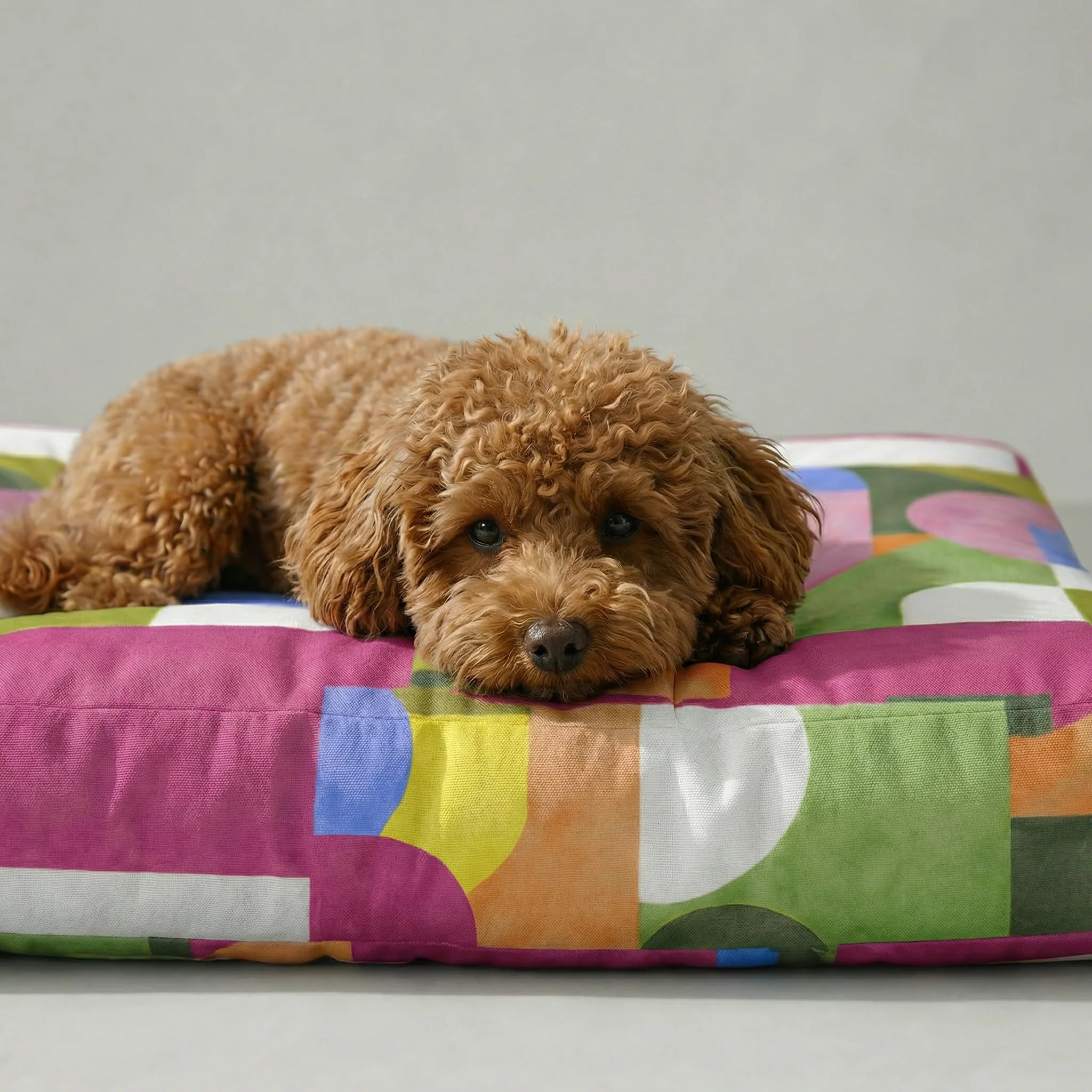 Lit pour animaux antitaches Dundee