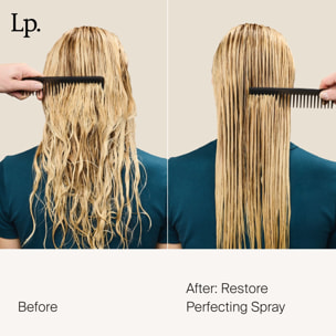 Restore - Spray Perfection Réparateur