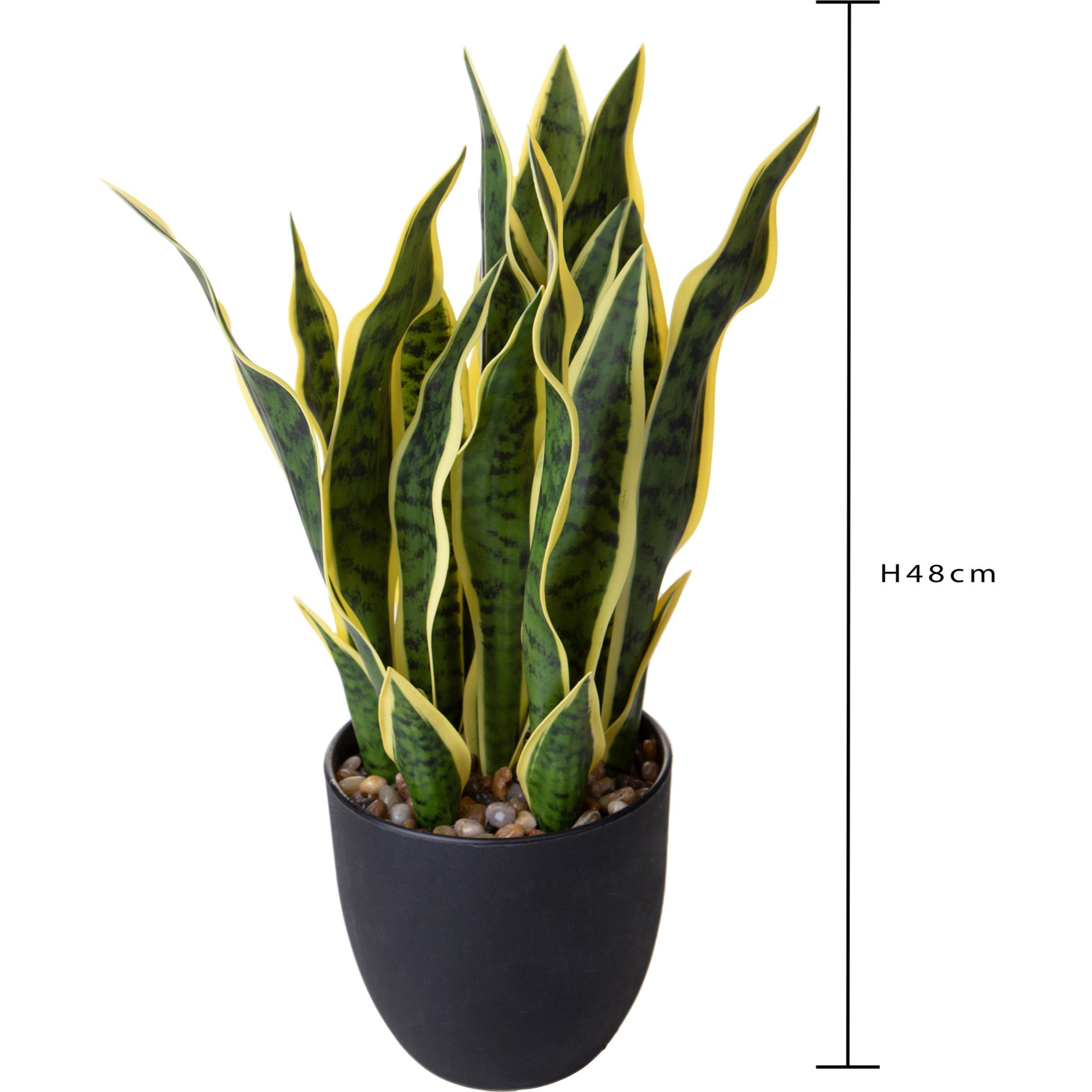 Sanseveria real touch - Pezzi 1 - Colore: Verde - Bianchi Dino