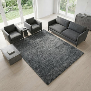 Tapis longs poils shaggy tissé motif uni TENI