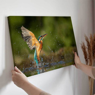 Tableau martin-pêcheur en plein envol au-dessus de l’eau Toile imprimée