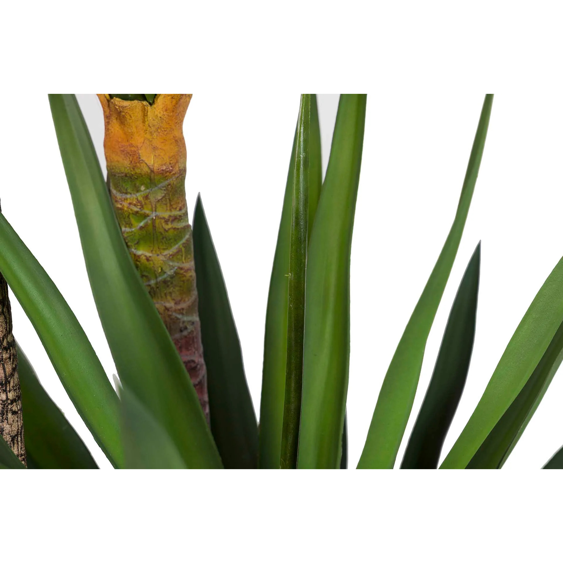 Planta Yucca Con Maceta 70x70x250 Cm