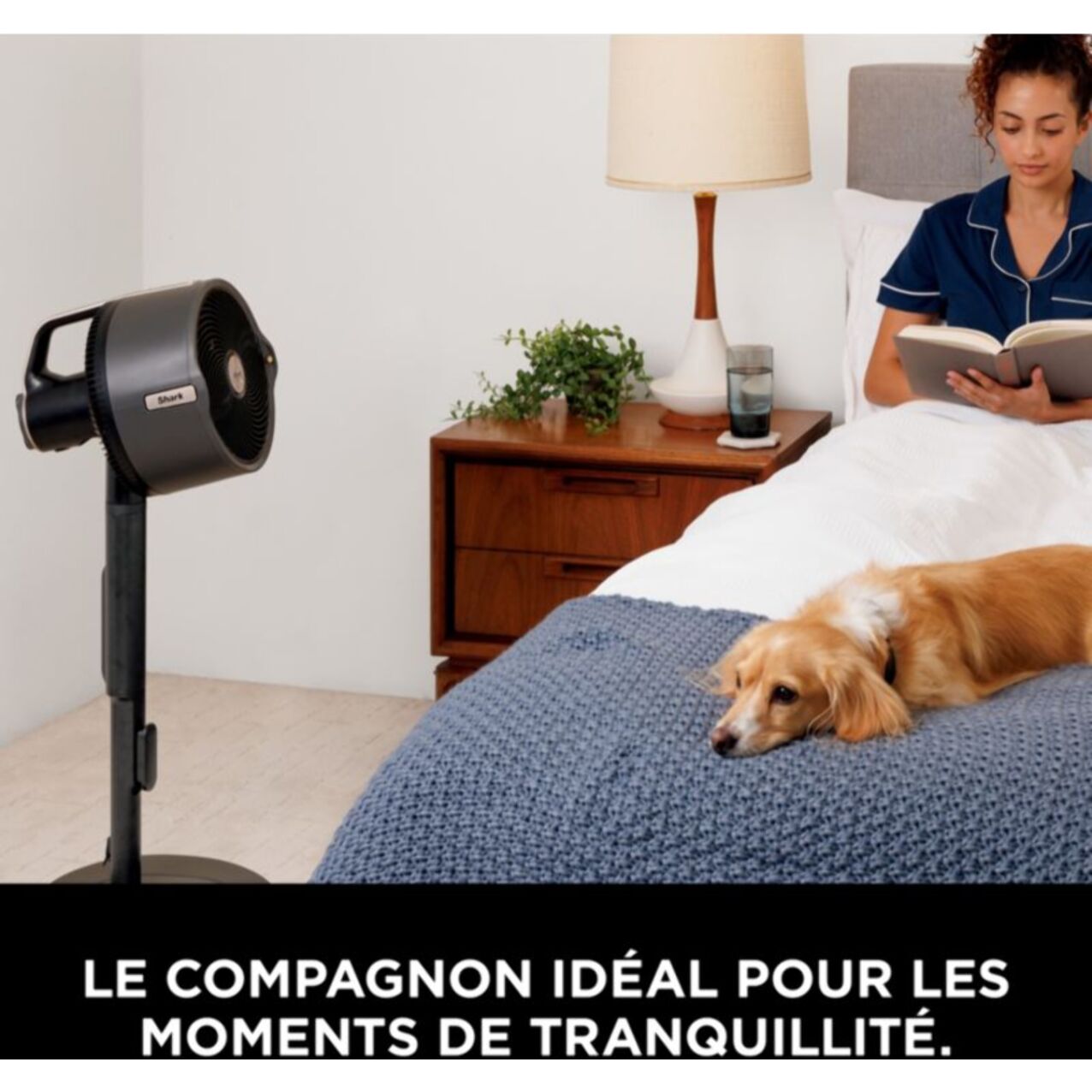 Ventilateur brumisateur SHARK FlexBreeze ProMist FA300EU