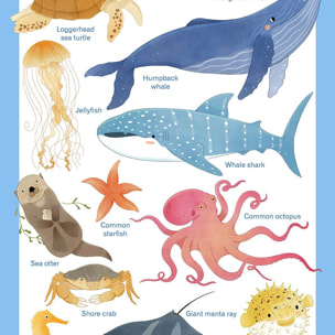 Affiche enfant animaux marins  Affiche sous cadre bois