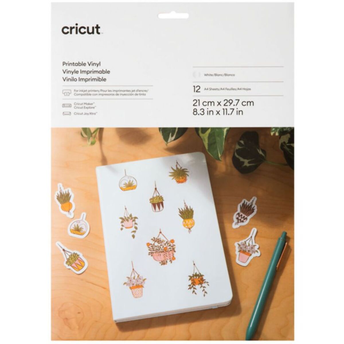 Accessoire CRICUT Vinyl A4 10 feuilles white