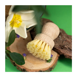 Set de 2 brosses à légumes en bois Fackelmann Nature FSC