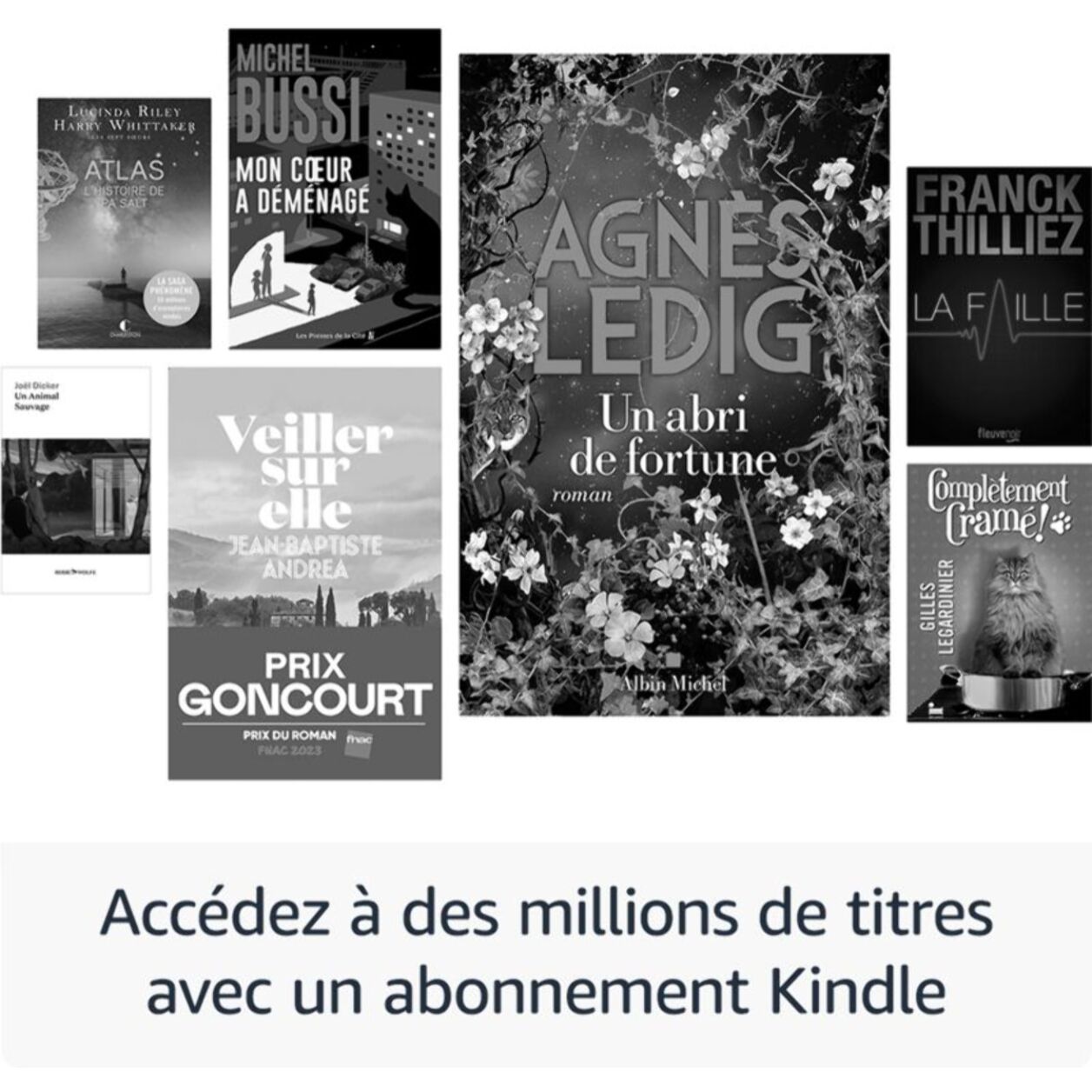 Liseuse eBook AMAZON Kindle Paperwhite 16 Go Noir