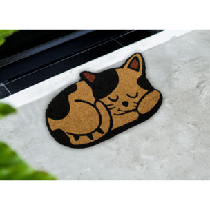 Zerbino Cocco Ingresso Casa Antiscivolo Sagomato Animal Cat