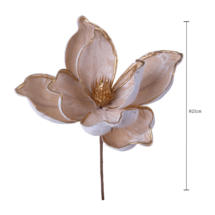 Pick magnolia - Pezzi 12 - BEIGE - Bianchi Dino SpA