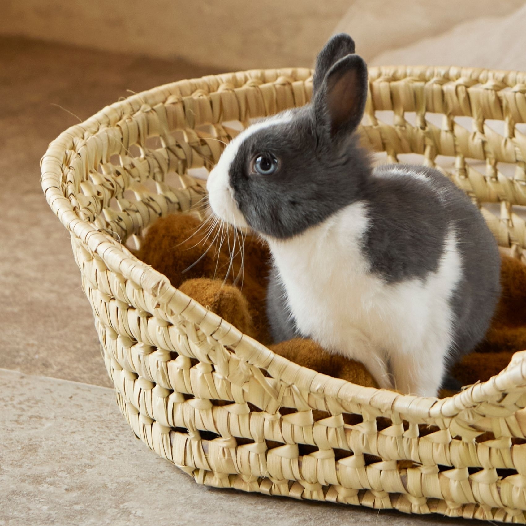 Panier Osier pour chat - Naturel