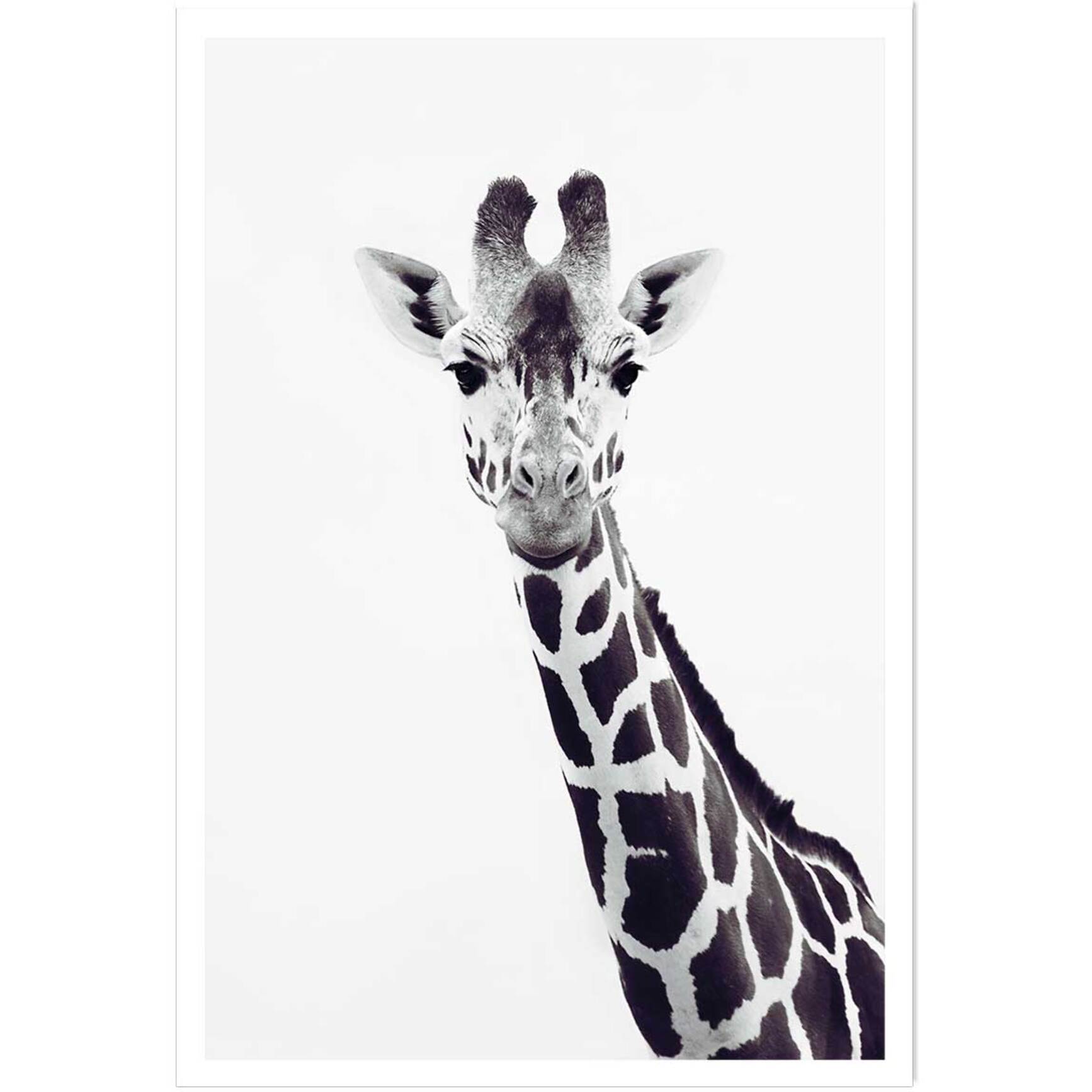 Affiche enfant girafe noire  Affiche seule