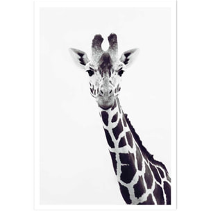 Affiche enfant girafe noire  Affiche seule