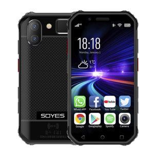 DAM Smartphone robusto  SMINI S10 4G, Android 6.0, 3 GB RAM + 64 GB. schermo da 3''. IP68 3 LIVELLO DI PROVA (Anticaduta, Polvere, Acqua) Doppia SIM. 5,2x1,6x9,8 cm. Colore nero