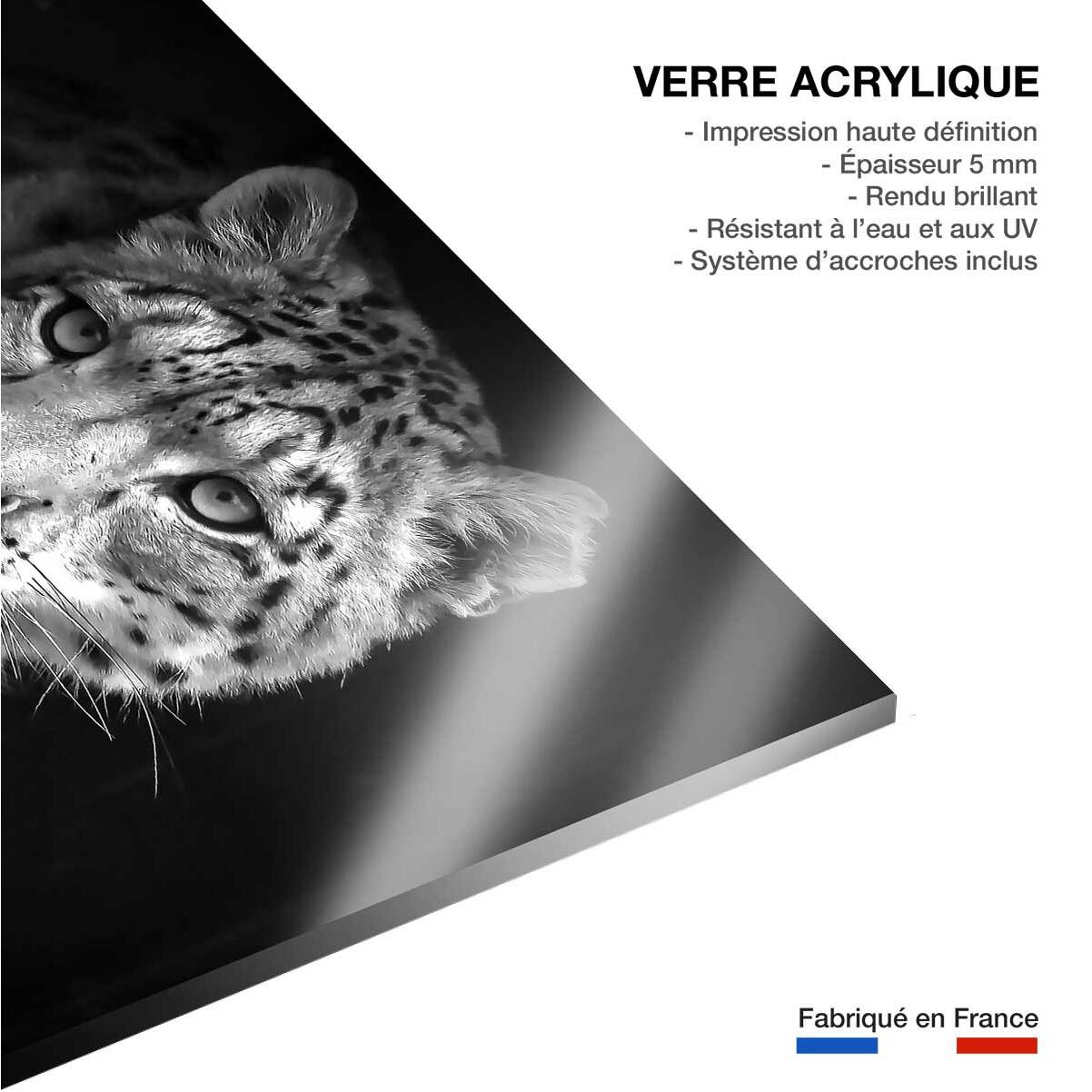 Tableau animaux le regard du léopard Tableau plexiglas