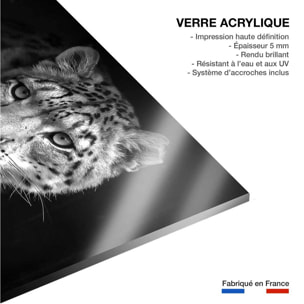 Tableau animaux le regard du léopard Tableau plexiglas