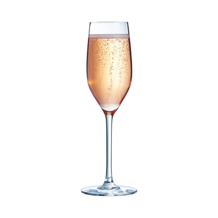 6 copas de champán 17 cl Séquence - Chef&Sommelier
