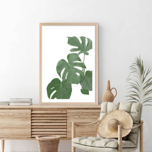 Affiche Feuilles de Monstera Affiche + cadre en bois - Chêne