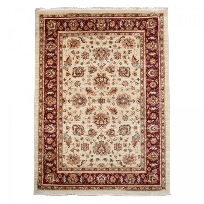 Tapis épais de 120x180 aux motif floraux traditionnels orientaux
