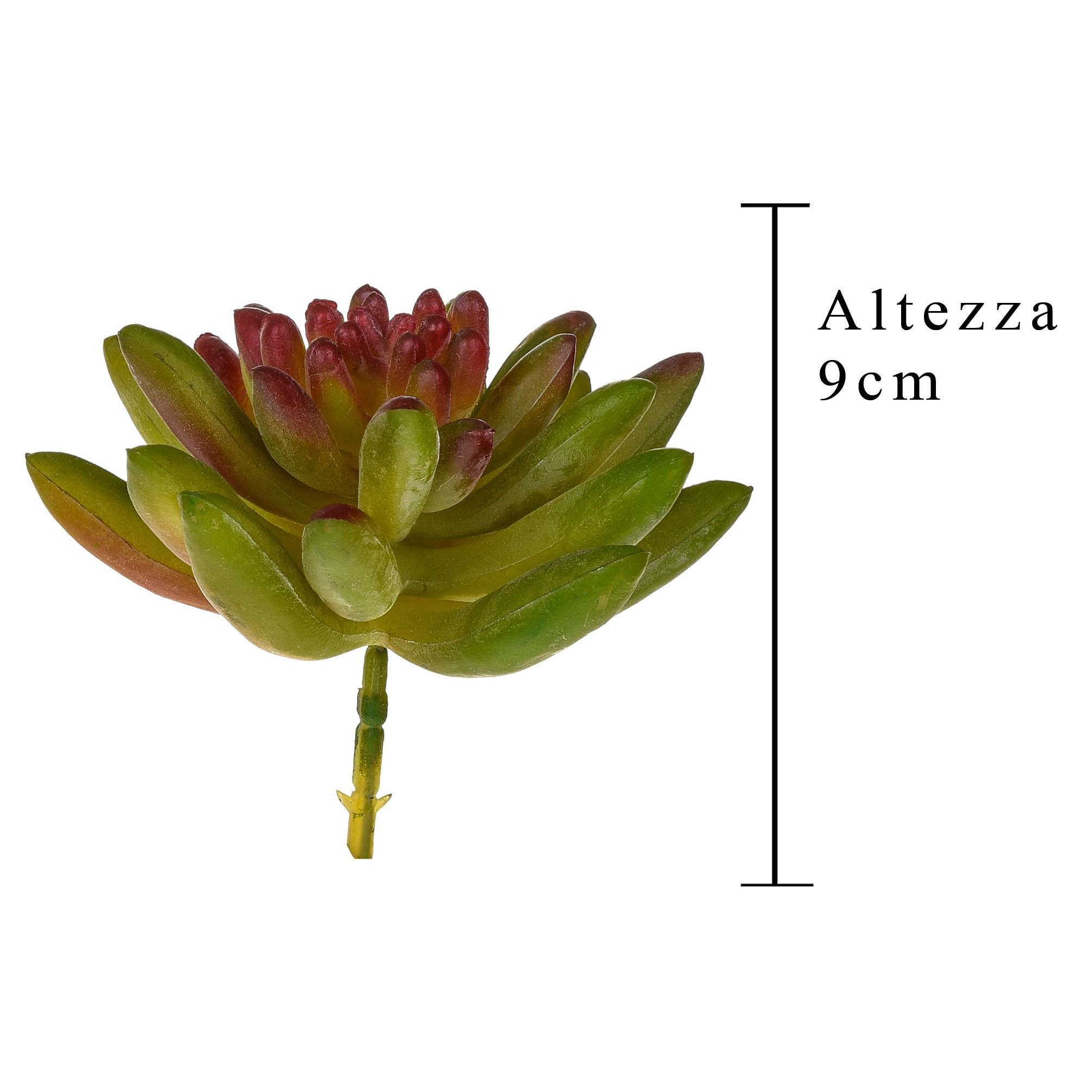 Crassula Cactus. Altezza 9 Cm - Pezzi 6 - 10X9X10cm - Colore: Verde - Bianchi Dino - Piante Artificiali