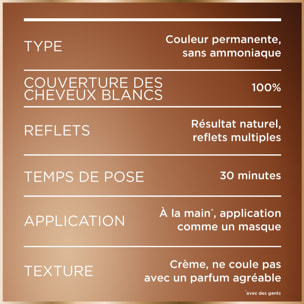 Garnier Good Coloration 7.43 Cuivré Épicé 120 g