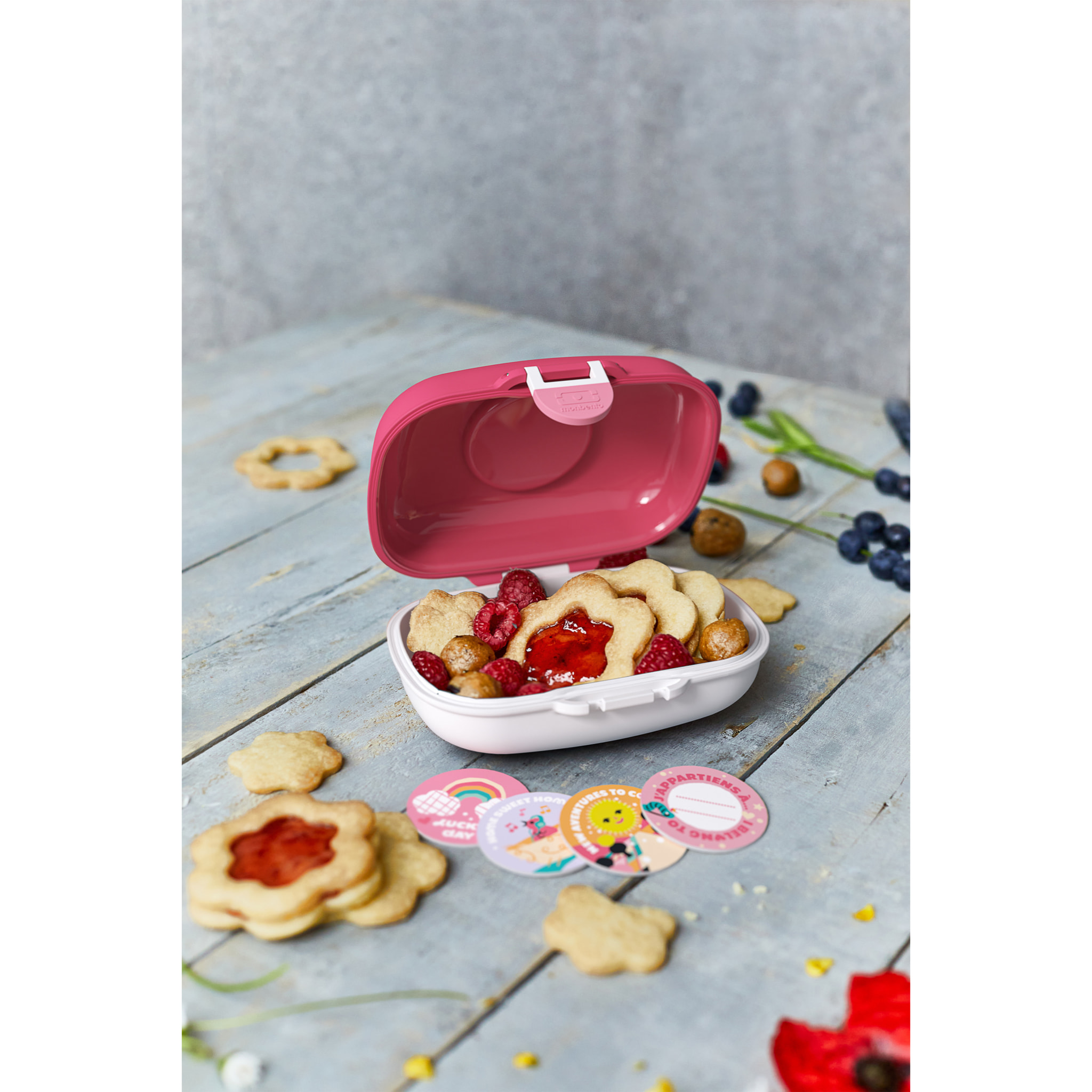 Boîte à goûter enfant Gram 600ml Rose Birds