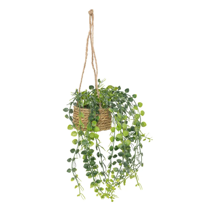 Plante artificielle suspendue "Patri" H47cm